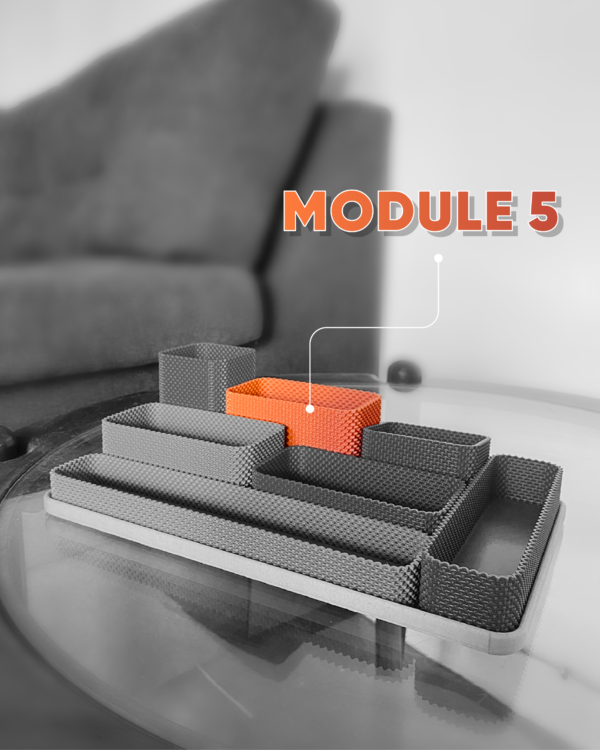 MODULE5 Rangement modulaire COREGRID 2 Mat (1ère version)